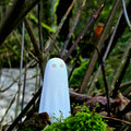 The 55 - The Cornish Ghost Collection