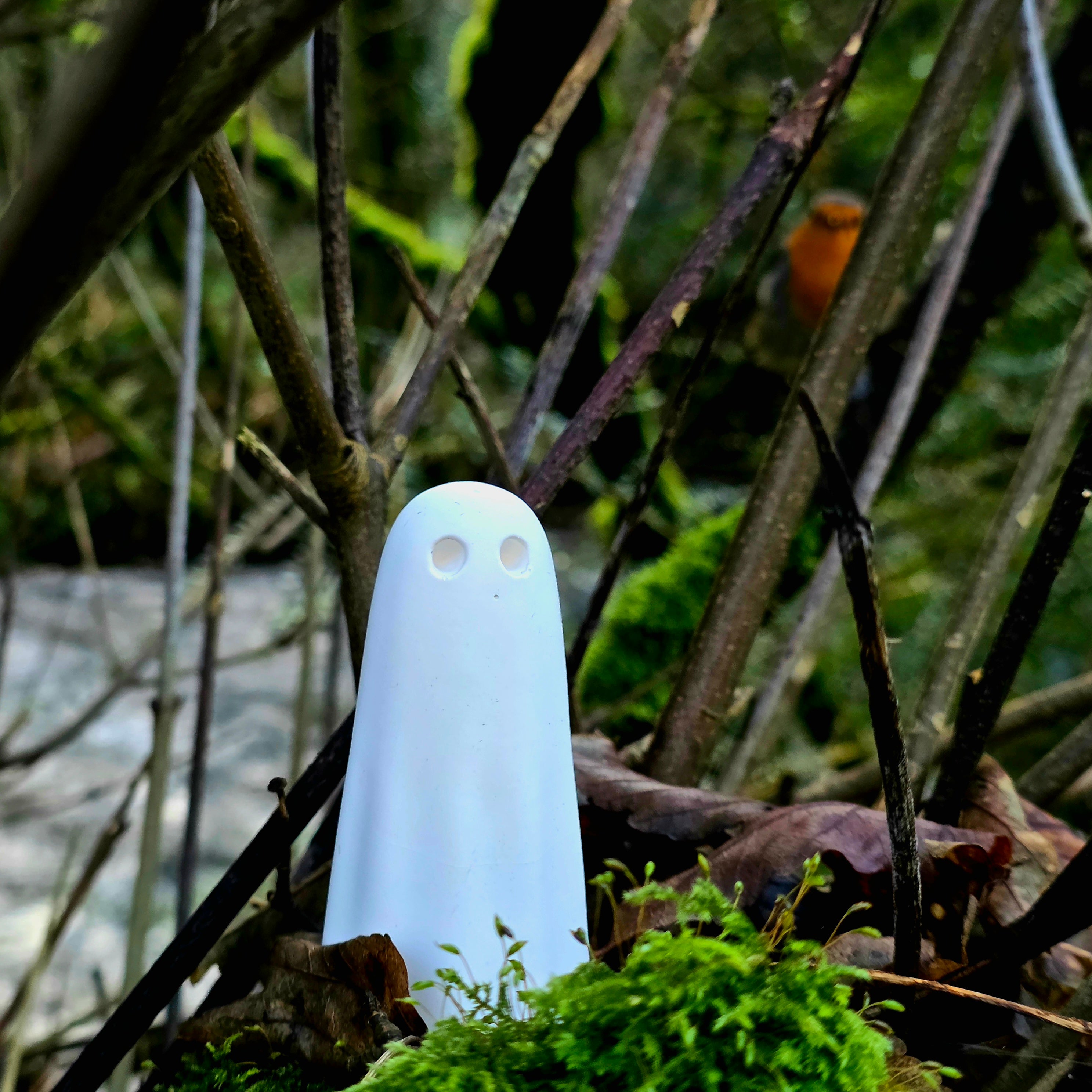 The 55 - The Cornish Ghost Collection