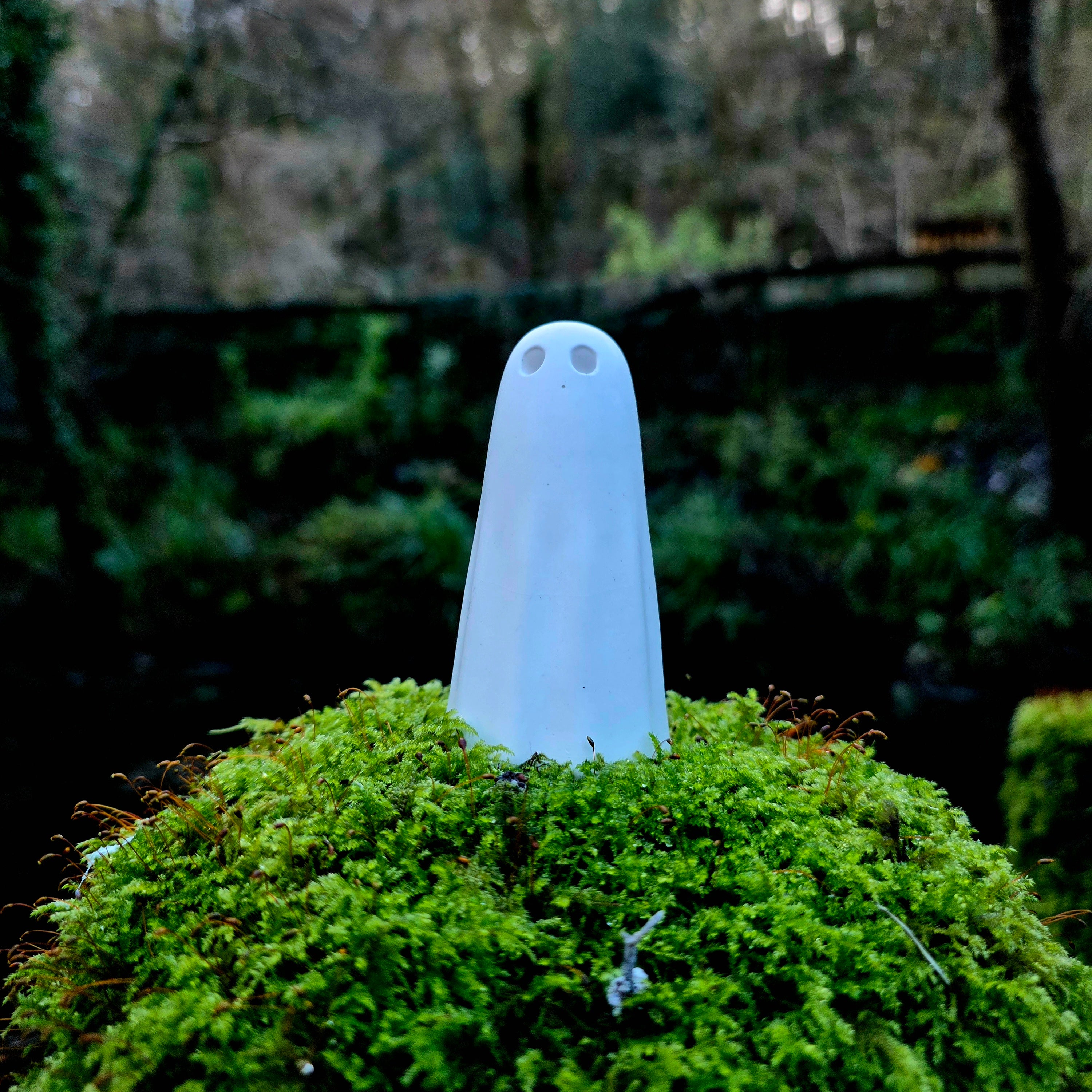 The 55 - The Cornish Ghost Collection